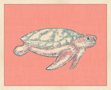Turtle on Coral Linen