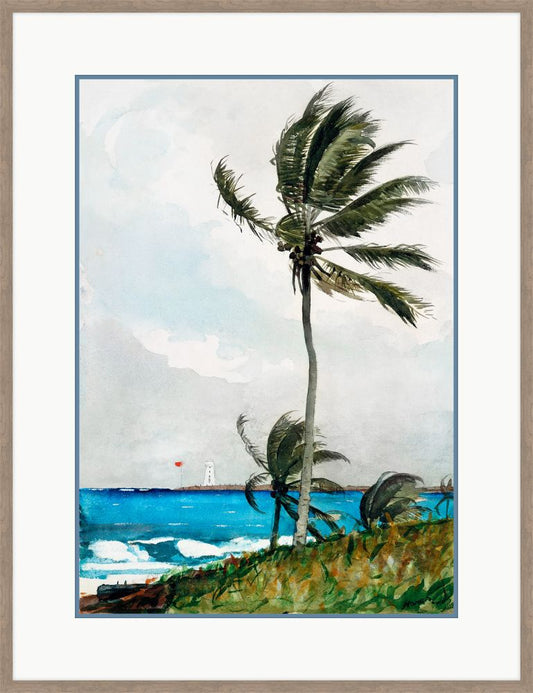Palm in the Storm