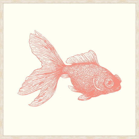 Goldfish In Peachy Pink