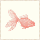 Goldfish In Peachy Pink