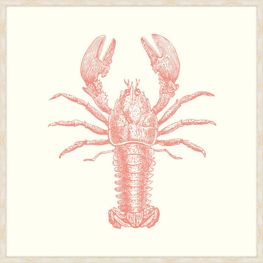 Lobster Peachy Pink