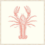Lobster Peachy Pink
