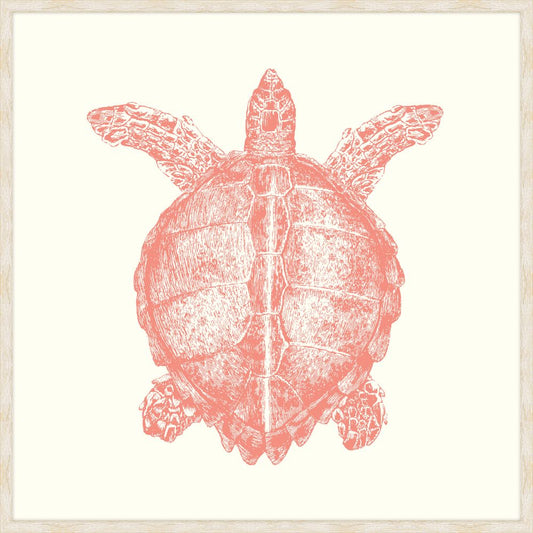 Turtle In Peachy Pink