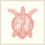Turtle In Peachy Pink
