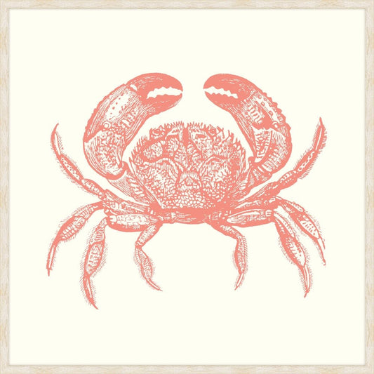 Crab In Peachy Pink