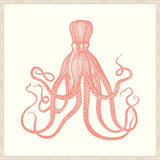 Octopus In Peachy Pink