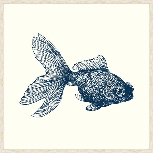 Goldfish in Blue