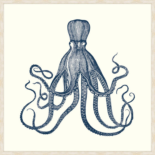 Octopus in Blue