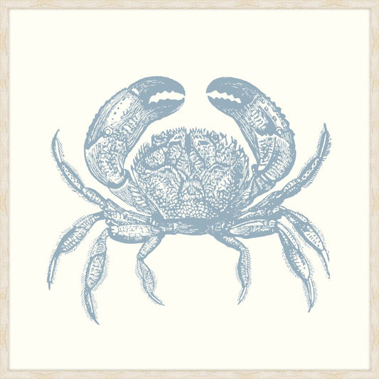Crab In Blue Nose