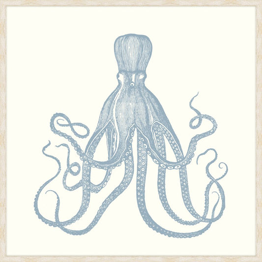 Octopus In Blue Nose