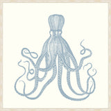 Octopus In Blue Nose