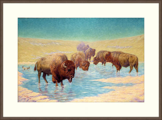 Pastel Buffalo
