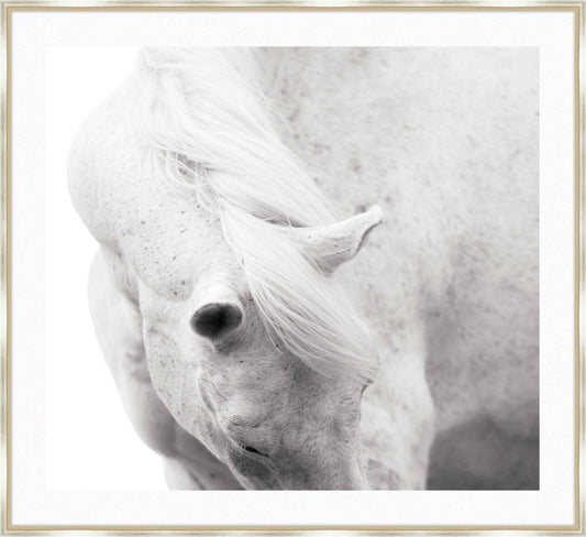 White Horse
