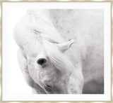 White Horse