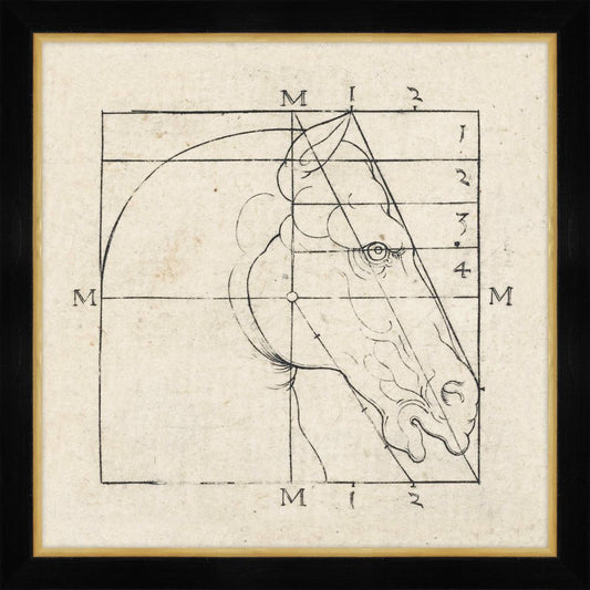 Gothic Head of a Horse I