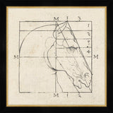 Gothic Head of a Horse I