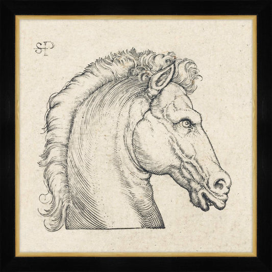 Gothic Head of a Horse II