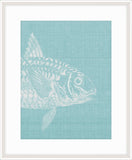 Go Fish in Cooled Blue I