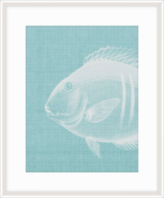 Go Fish in Cooled Blue II