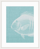 Go Fish in Cooled Blue II