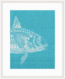Go Fish in Scuba Blue I