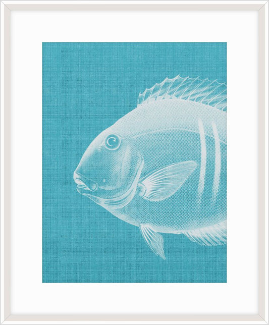 Go Fish in Scuba Blue II