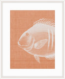 Go Fish in Tuscan Tile II