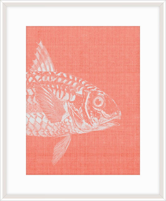 Go Fish in Pinky Peach I