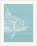 Go Fish in Cooled Blue Grande I