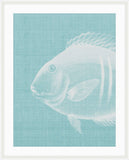 Go Fish in Cooled Blue Grande II