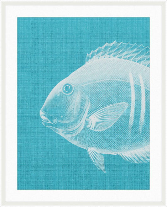 Go Fish in Scuba Blue Grande II