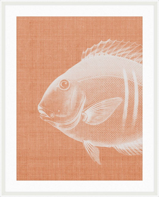 Go Fish in Tuscan Tile Grande II