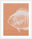 Go Fish in Tuscan Tile Grande II
