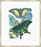 Seguy in Blue and Green Petite III