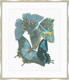 Seguy in Blue and Green Petite IV