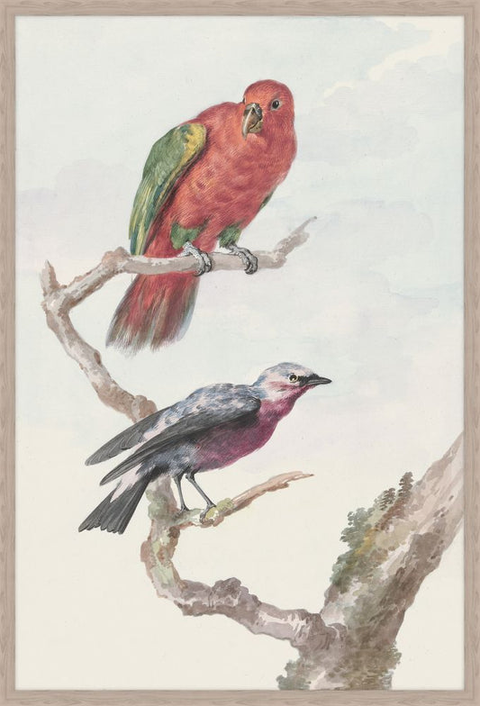 Two Birds, Including A Red-Green Parrot