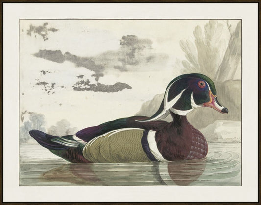 Carolinea End in the Pond