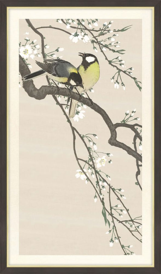 Tits on Cherry Branch