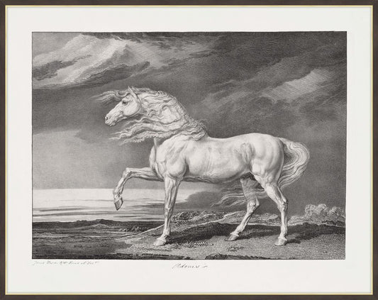 Adonis, James Ward (British, 1769-1859)