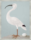 White Ibis with Light Teal Grande