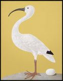 White Ibis on Yellow Grande