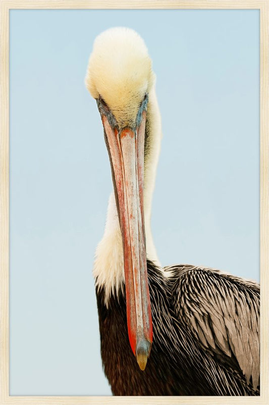 Pelican Brief Petite II