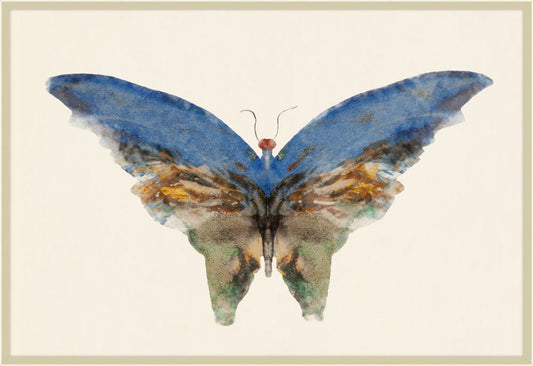 Butterfly Goddess II