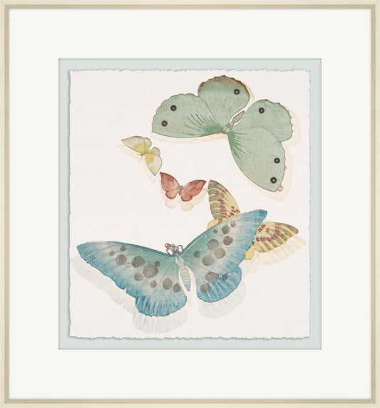 Various Butterflies & Moths I