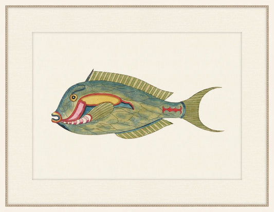 Renard Poisson XIVIII