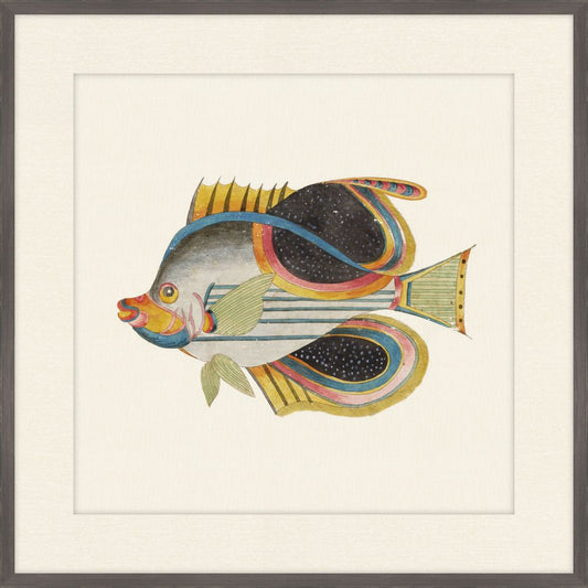 Renard Poisson on Black VII