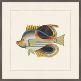 Renard Poisson on Black VII