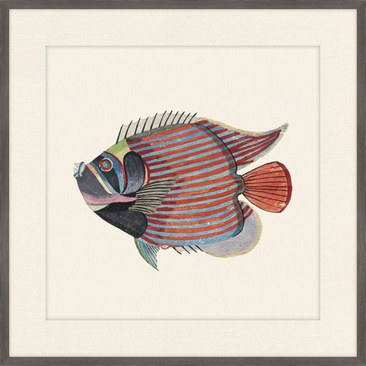 Renard Poisson on Black VIII