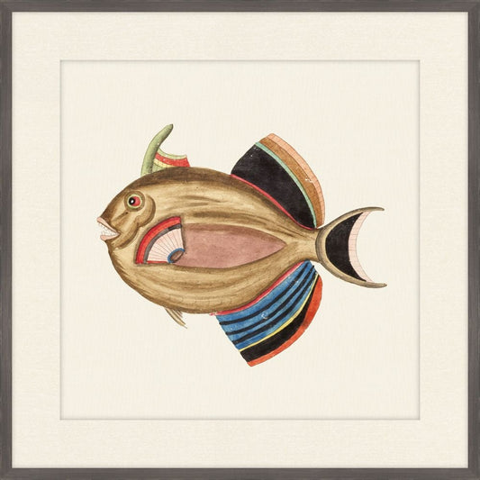 Renard Poisson on Black IX