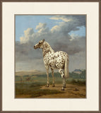 The Piebald Horse